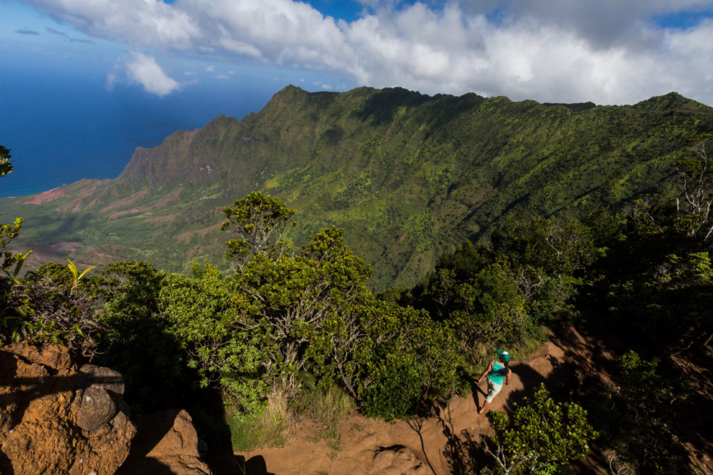 Koke'e State Park. Photo Credit: Hawaii Tourism Authority (HTA) / Tor Johnson