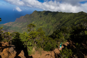 Koke'e State Park. Photo Credit: Hawaii Tourism Authority (HTA) / Tor Johnson