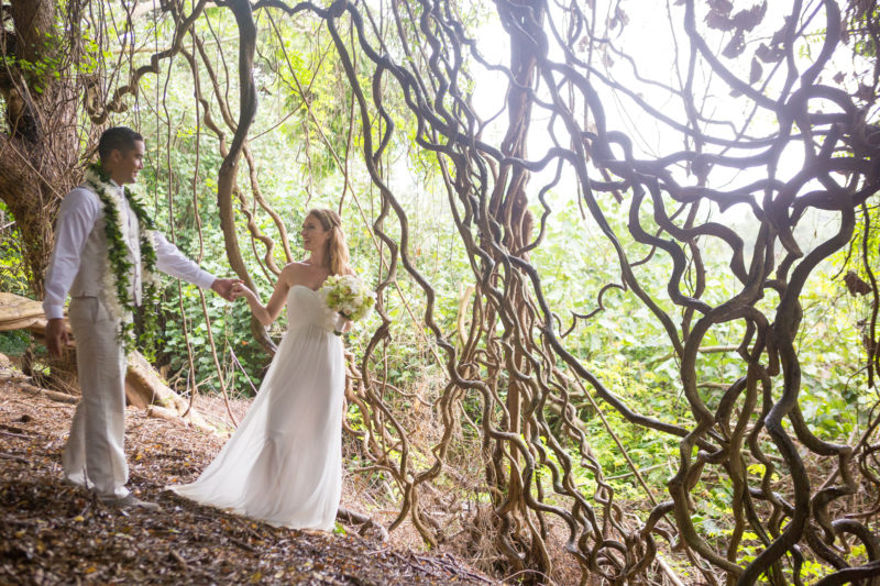 A rainforest destination for your Hawaii wedding?