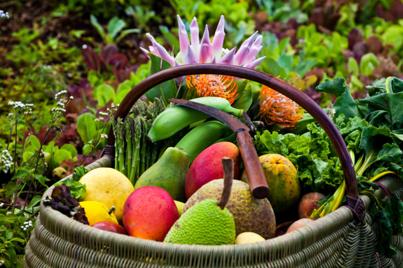 An assortment of fruit from Hawaii. Photo Credit: Hawaii Tourism Authority (HTA) / Tor Johnson