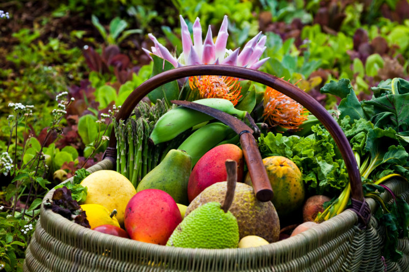 Growing Fruits And Vegetables In Hawaii: Living In Hawaii & Things To ...