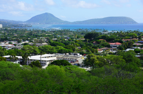 KCC Farmers' Market: Kahala Lookout. Hawaii Travel. Things to do in Oahu. Things to do in Hawaii.