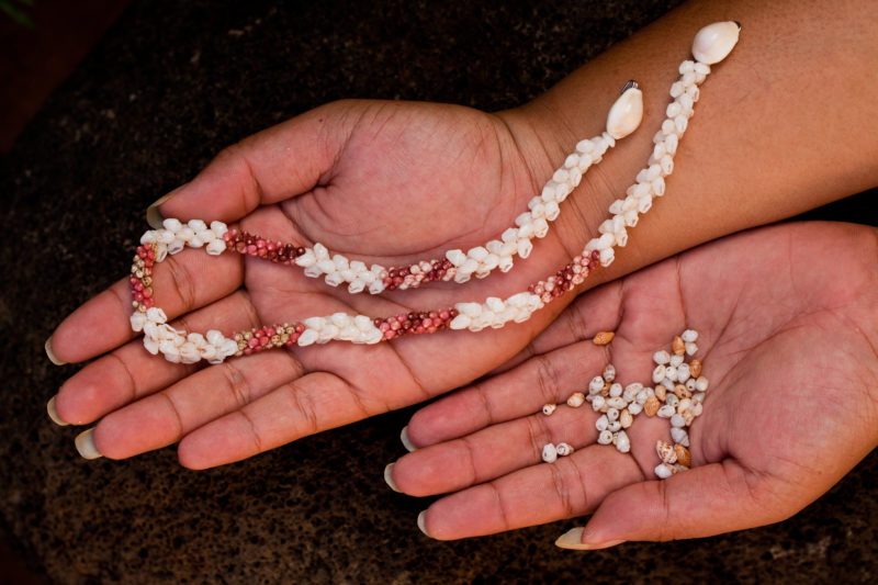 Bernice Pauahi Bishop Museum - #PicOfTheDay This shell lei, strung together  by a member of the Ni'ihau Ohana and collected by Janelle Kienow of Kaua'i  Curators, took 15 years to finish and