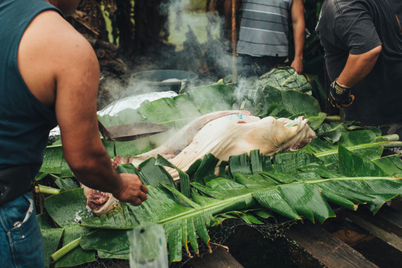 A luau needs a pig cooked in an imu.