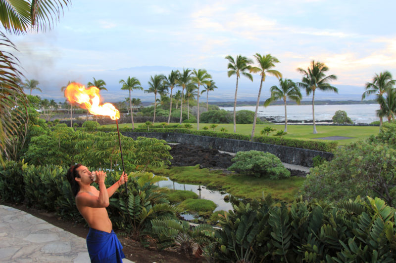 The blowing of the conch shell will often signal the beginning of a luau.