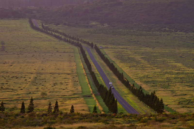 The straight Palawai road in Lanai.