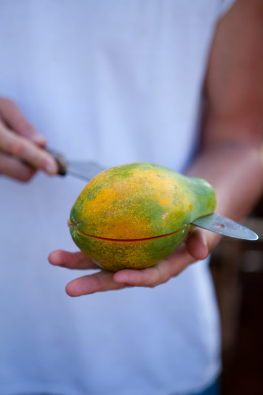 Cutting a papaya