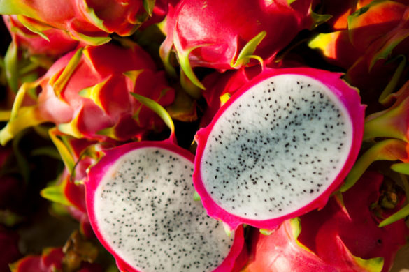 Aquaponics farms on oahu Brookwood Aquaponics class fuses environmental science with entrepreneurship