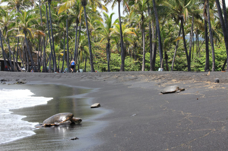 Colored Sand Beaches - Punaluu Beach