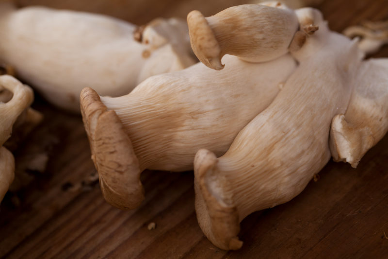 Alii Mushrooms from Hamakua Mushrooms