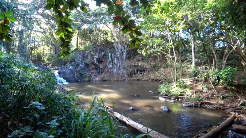 Kapena Falls pool.