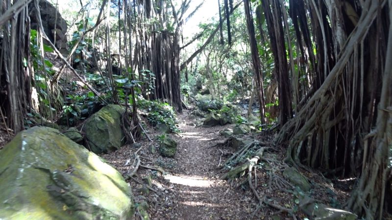 Kapena Falls trail.