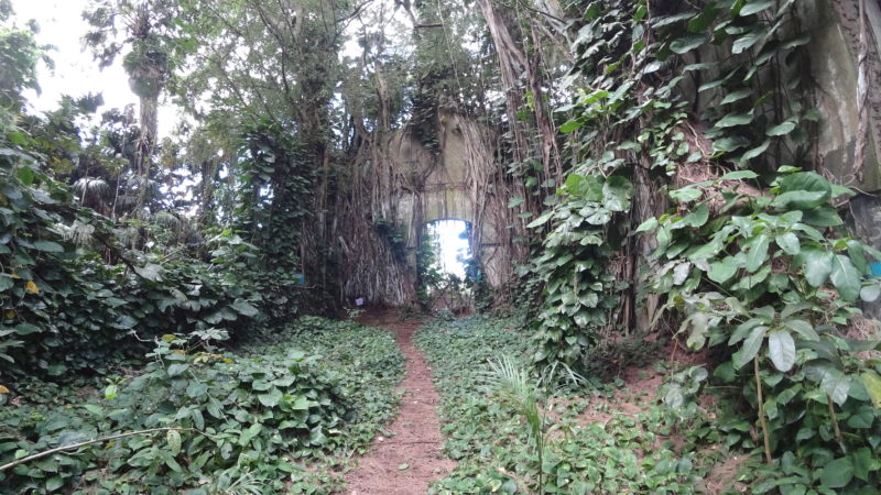 Abandoned building and Mother Nature.