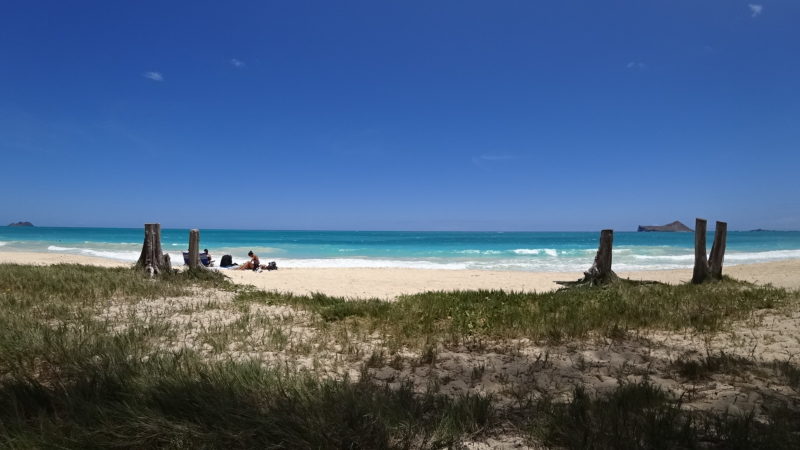 PIcnic at Waimanalo beach.