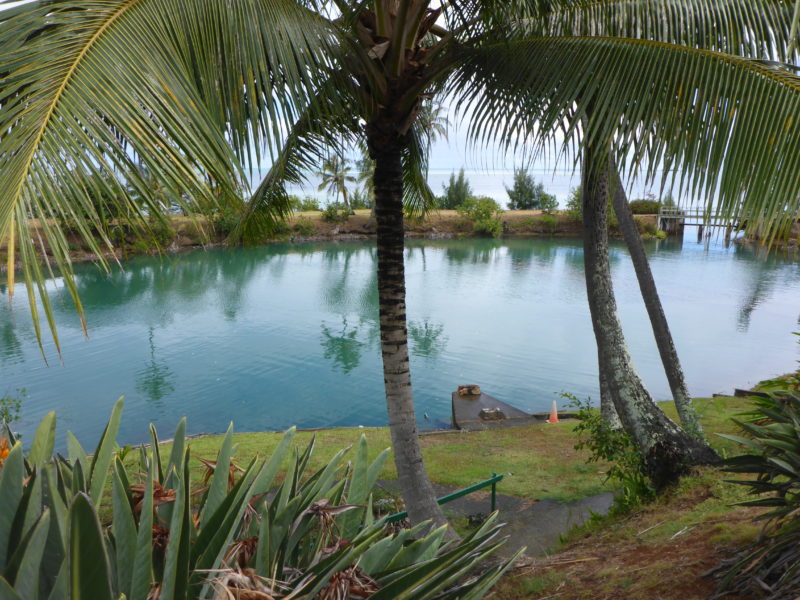 Coconut Island's self-cleaning saltwater pool.