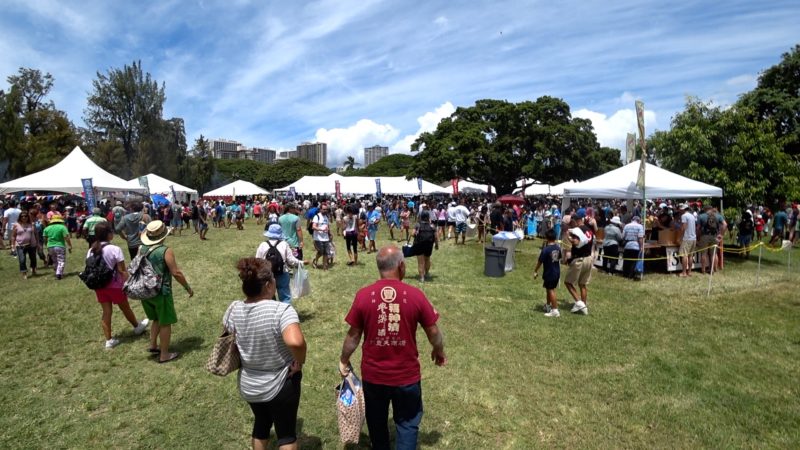 Okinawan Festival 2017