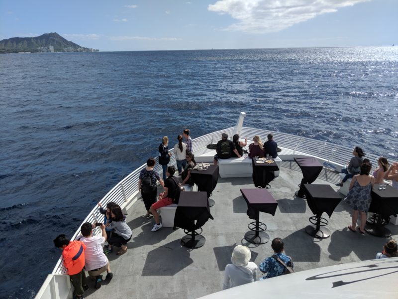 Oahu whale watching