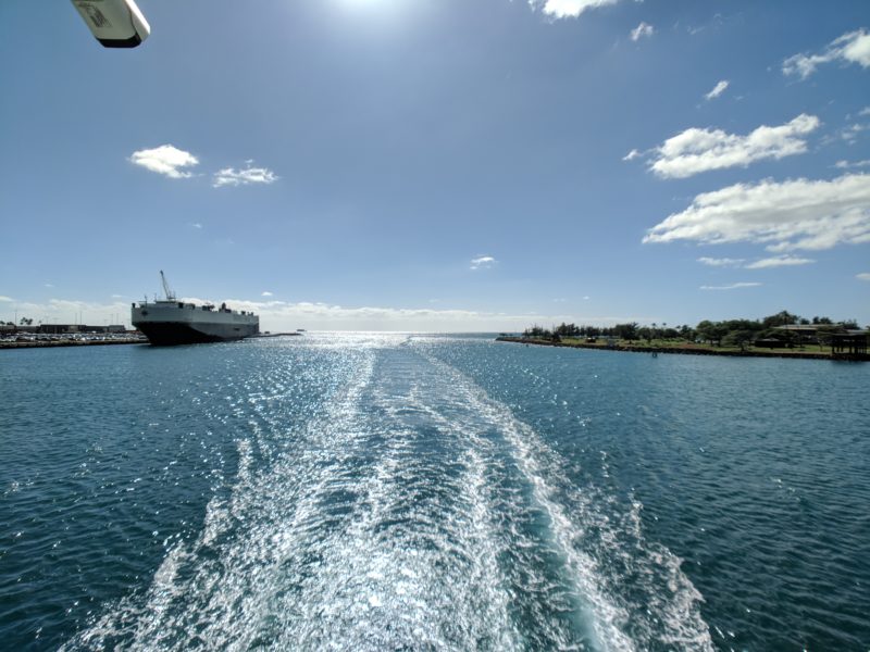 Oahu whale watching