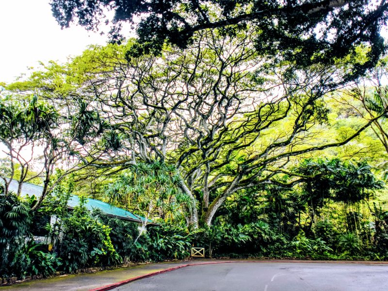 Oahu Photography Tour