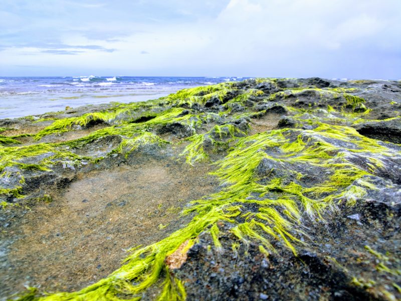 Oahu Photography Tour