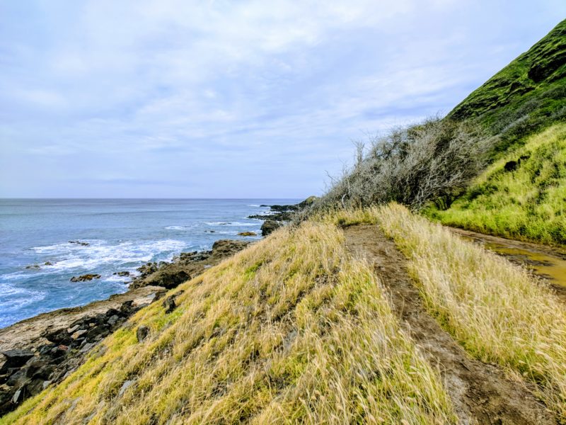 Kaena Point hike