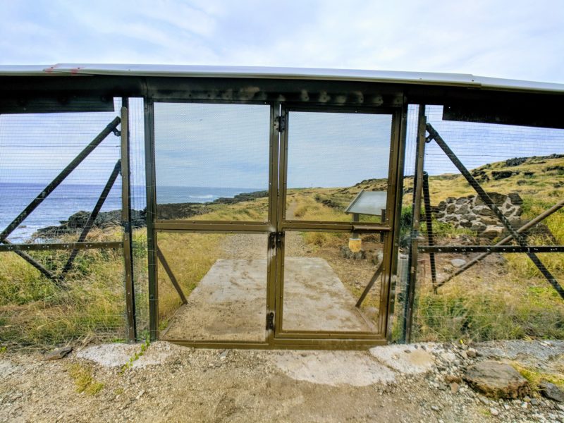 Kaena Point hike