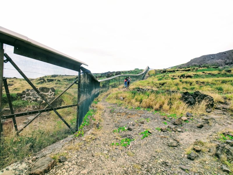 Kaena Point hike