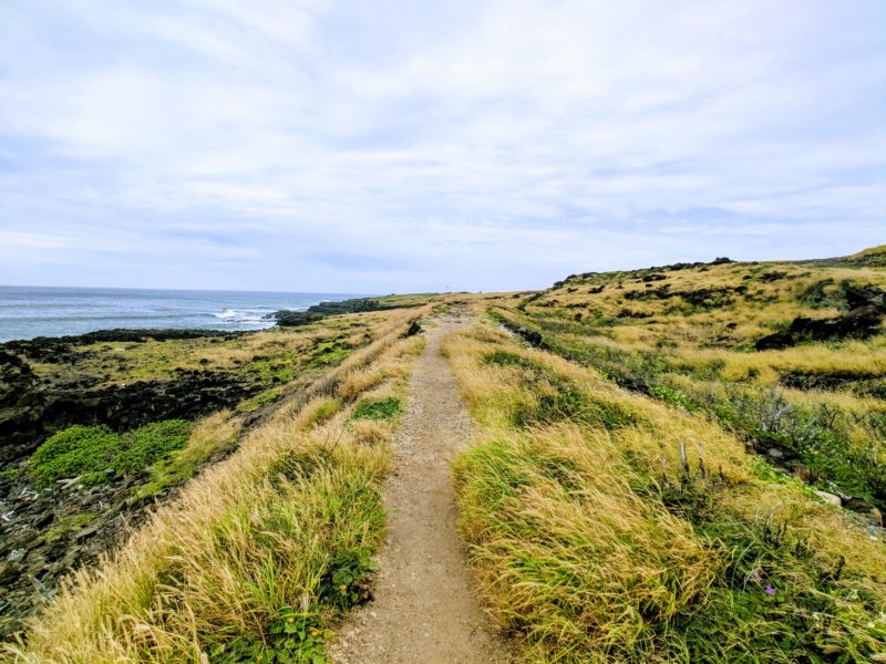 Kaena Point hike