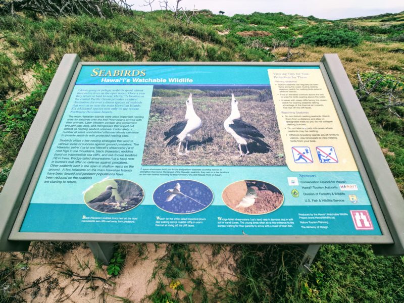 Kaena Point hike