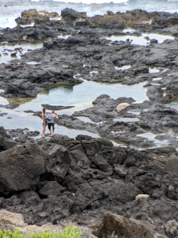 Kaena Point hike