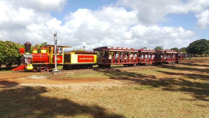 Riding the Pineapple Express at Dole Plantation is a fun, informative experience that is good for all ages.