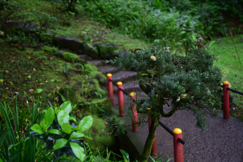 Why Byodo-In Temple In The Valley Of Temples Will Put You At Peace