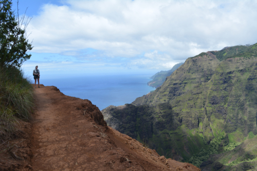 An average June day in Kauai in Kokee State Park with a view of the Na Pali coast. Editorial credit: Clau De / Shutterstock.com