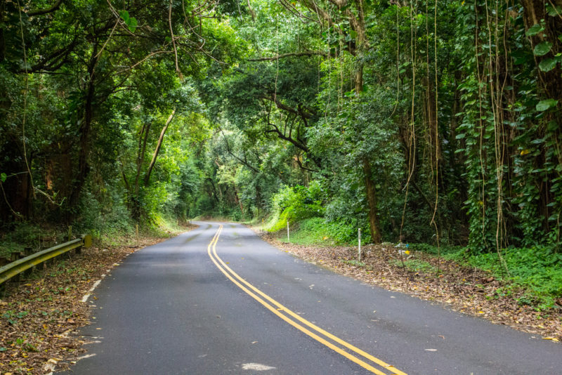 Nuuanu Pali lookout - Pali drive.