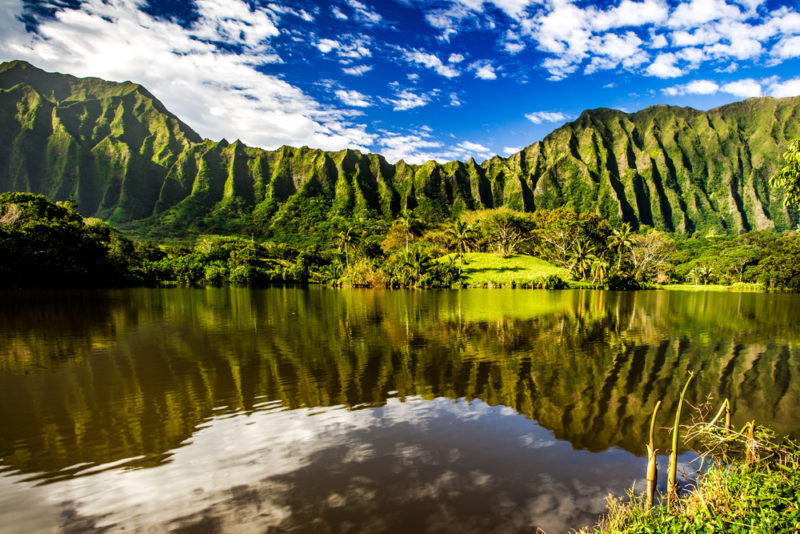 Hoomaluhia Botanical Garden Hawaii