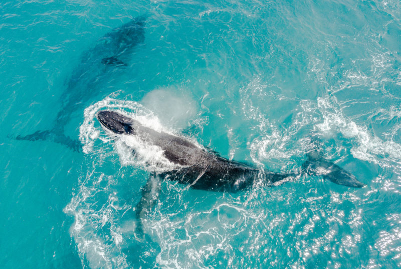 Why you shouldn't visit Hawaii in June.