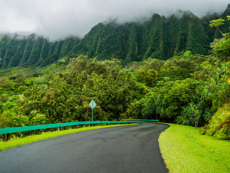 Hoomaluhia Botanical Garden drive-thru road.