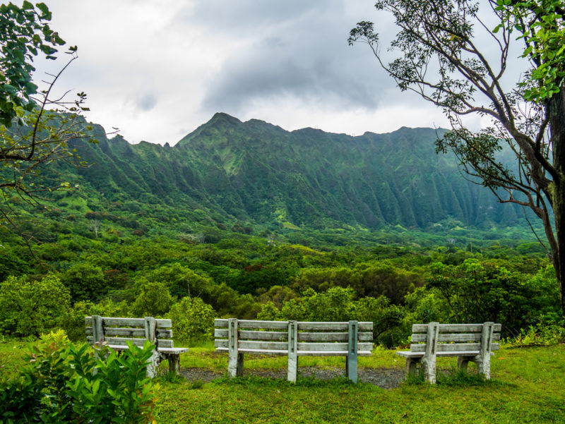 Hoomaluhia Botanical Garden's view of the Koolau mountain range.