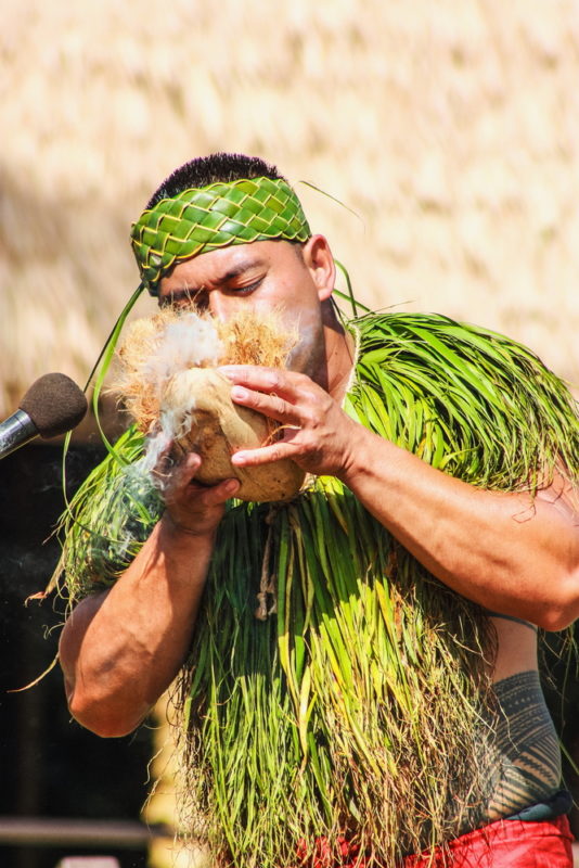 Polynesian Cultural Center making fire with a coconut.