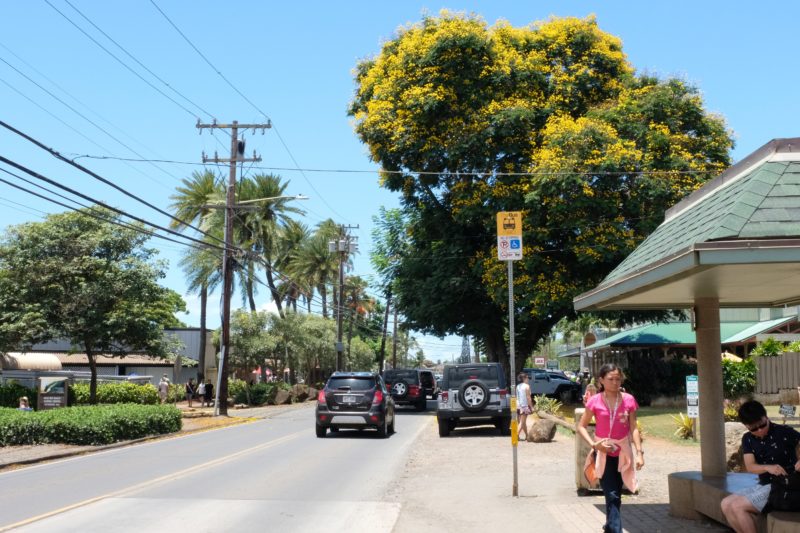 Walking my way through Haleiwa Town.