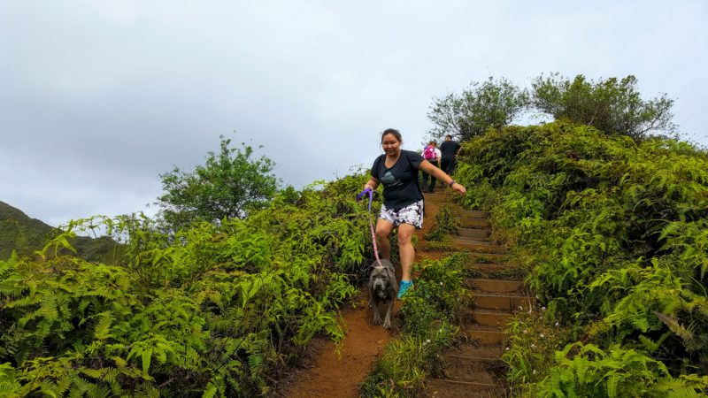 Daisy and I coming down from Kuliouou ridge trail. Most of the time there was a dirt path on the side of the stairs, which was sometimes more convenient and easier on the knees.