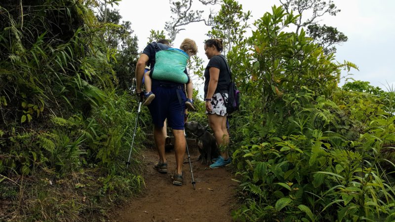 Can you do what these "power parents" did on Kuliouou ridge trail? I could barely manage bringing myself up this mountain - they brought an extra person!