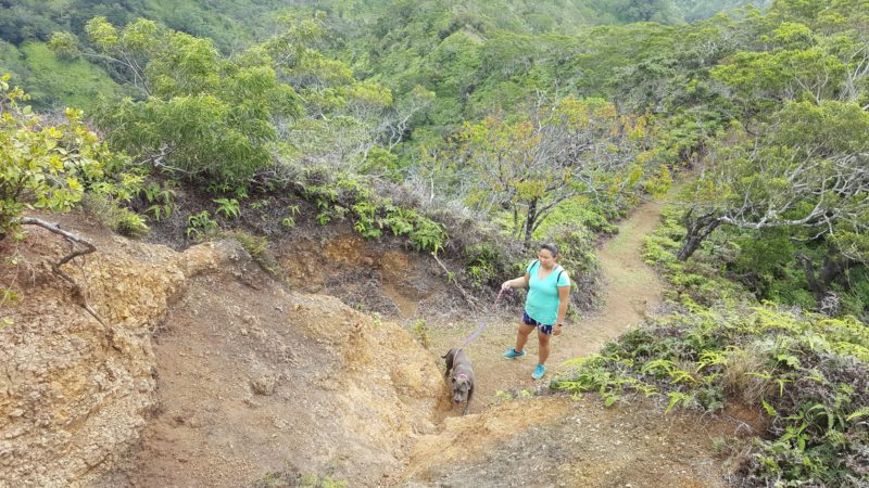 Hiking up the dirt and rocky path at Manana trail.