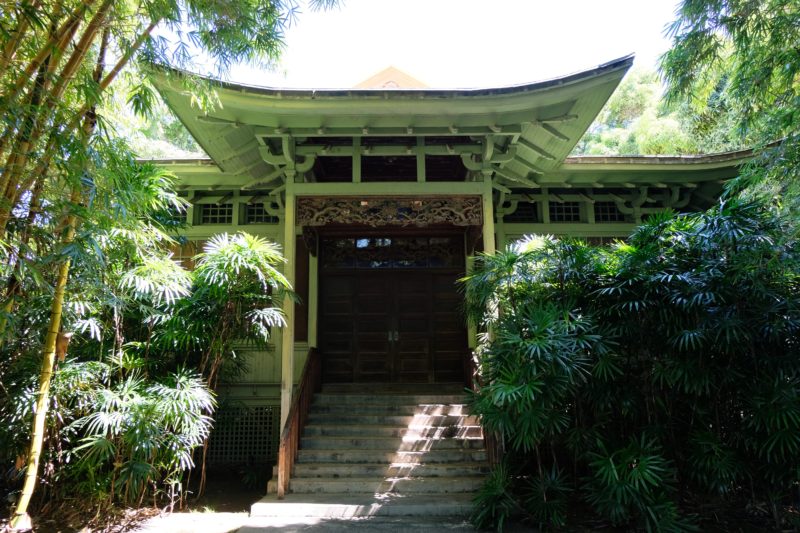 Have you heard about the Hitachi tree in Moanalua Gardens, Oahu, Hawaii? It's a famous tree in Japan and many Japanese tourists make the trek to these privately-owned gardens to see this magnificent tree that's been deemed an "exceptional" tree by the city council. Visit this hidden gem and discover not just a tree, but a royal summer home, plenty of beautifully carved wooden furniture and an oasis in central Oahu. From a local Hawaii girl's point-of-view.