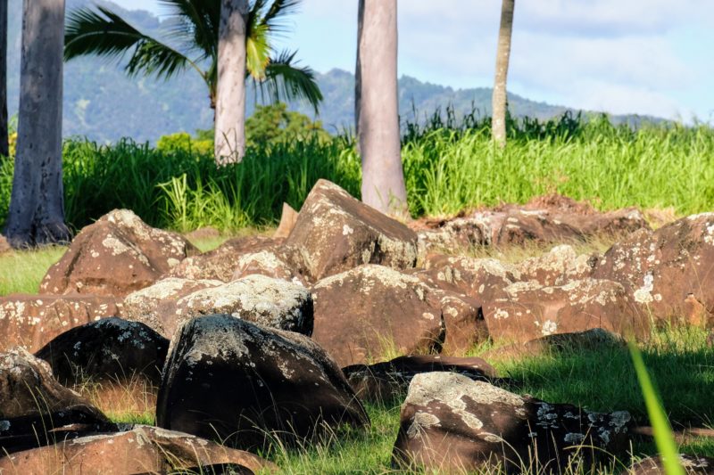 A handful of the Kukaniloko stones taken with a zoom lens.