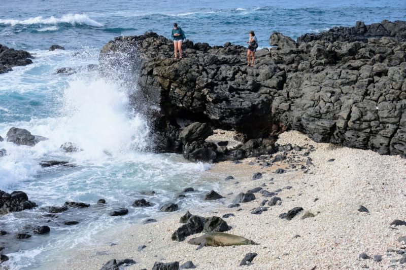 2 girls look down at the Hawaiian monk seal from the other side at Kaena Point.