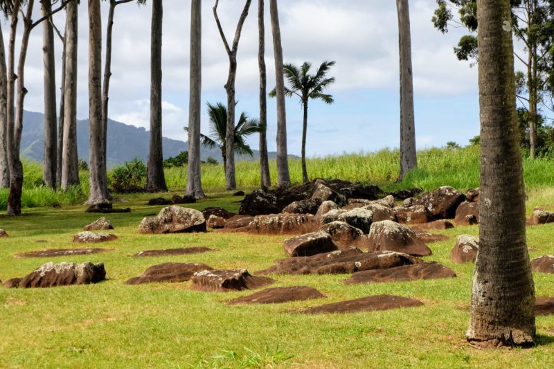 The Kukaniloko birthstones where the birth of Hawaiian royalty took place.