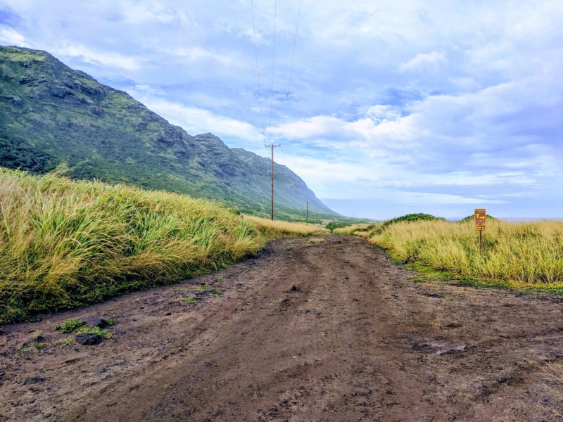 The straight dirt path on Kaena Point trail.