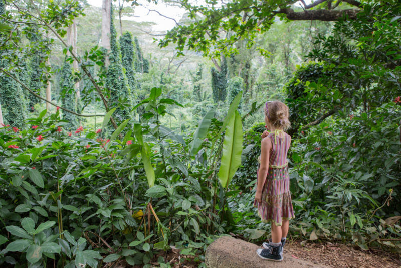 A girl looking out from a viewpoint on a hike. From the best Hawaiian island to visit for kids.