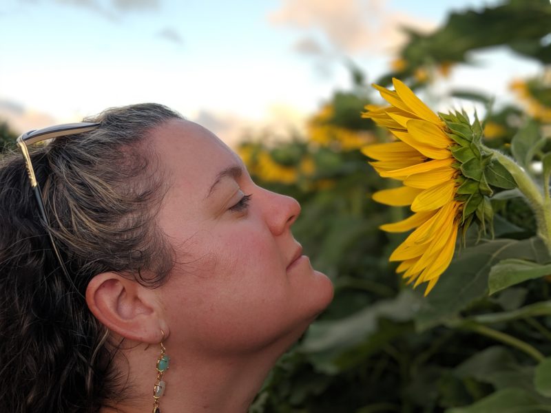 Taking beautiful photos at Waialua sunflower fields